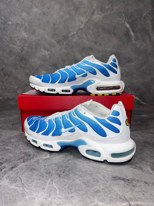 Nike Air Max Plus Battle Blue muške patike (44)