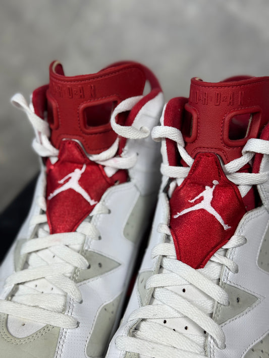 Air Jordan 6 Alternate Hare muške patike (44)
