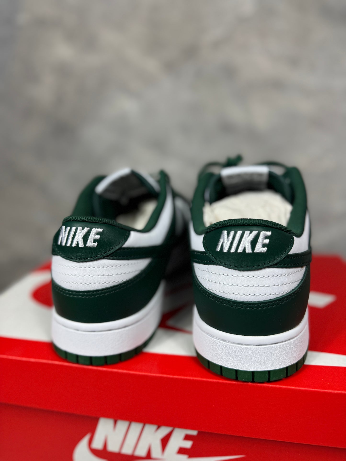 Nike Dunk Low Michigan muške patike(47)