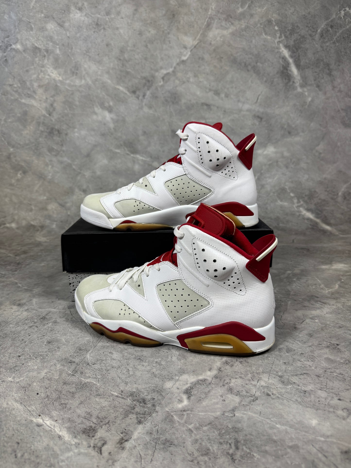 Air Jordan 6 Alternate Hare muške patike (44)