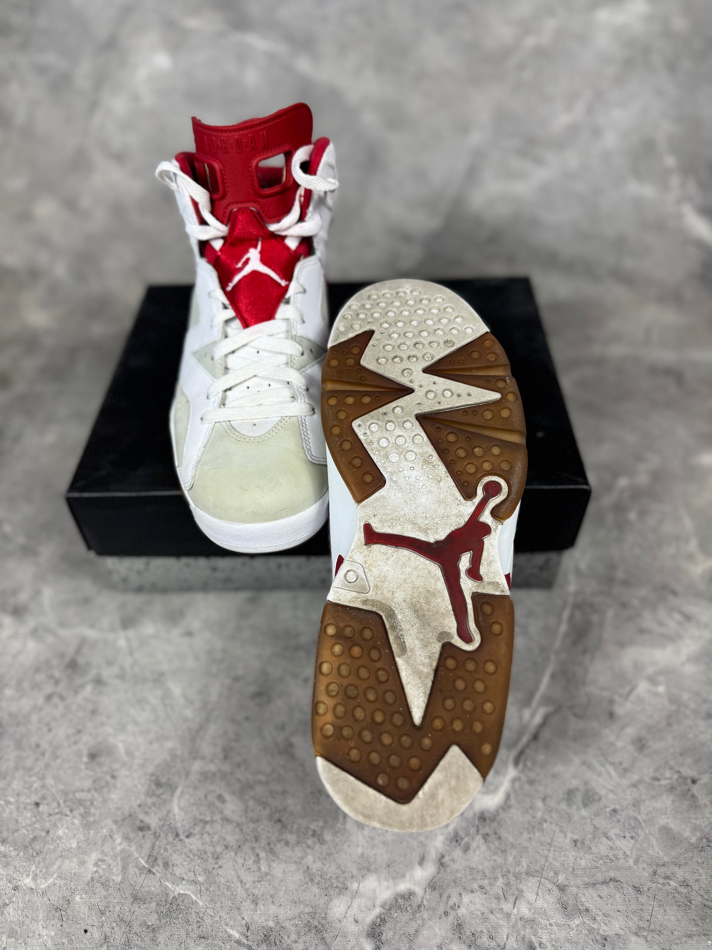 Air Jordan 6 Alternate Hare muške patike (44)