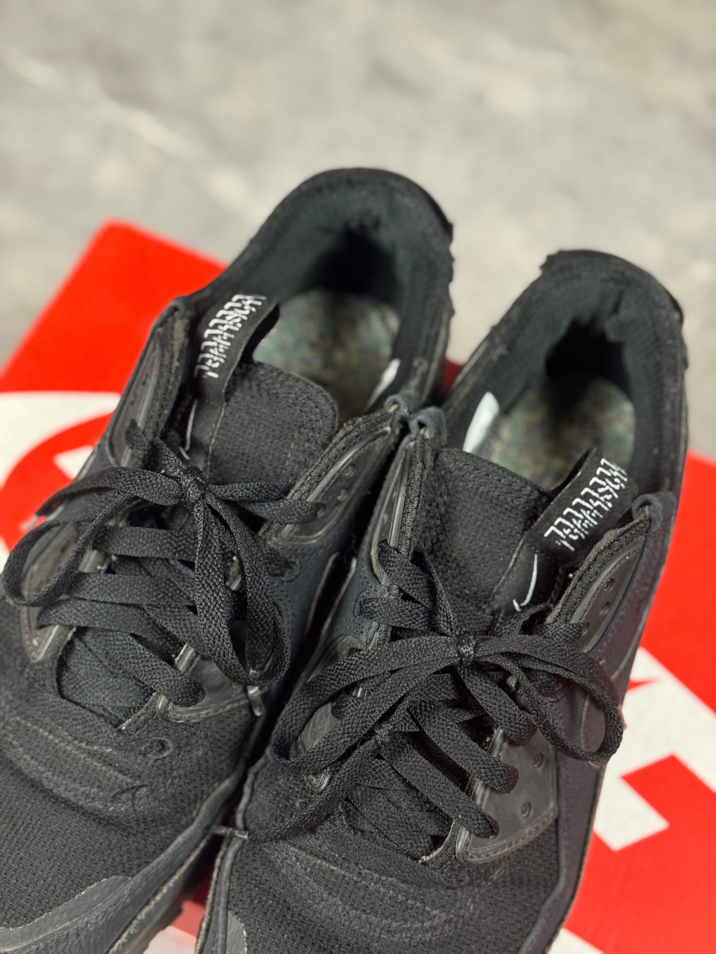 Nike Air Max Terrascape 90 muške patike (44)