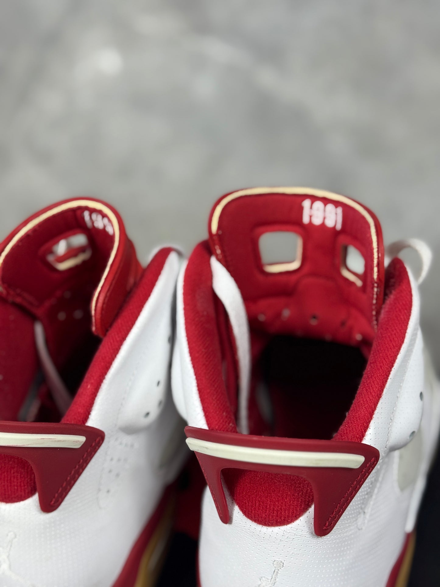 Air Jordan 6 Alternate Hare muške patike (44)