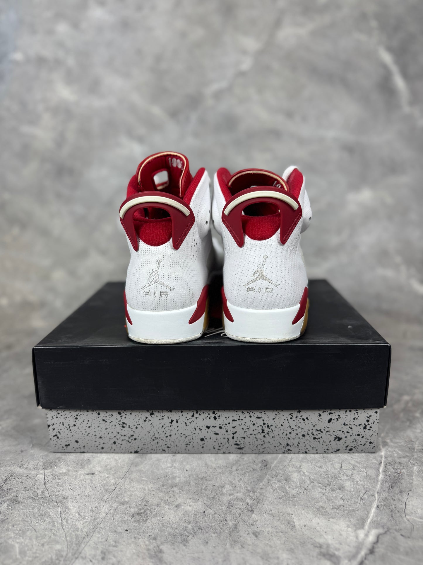 Air Jordan 6 Alternate Hare muške patike (44)